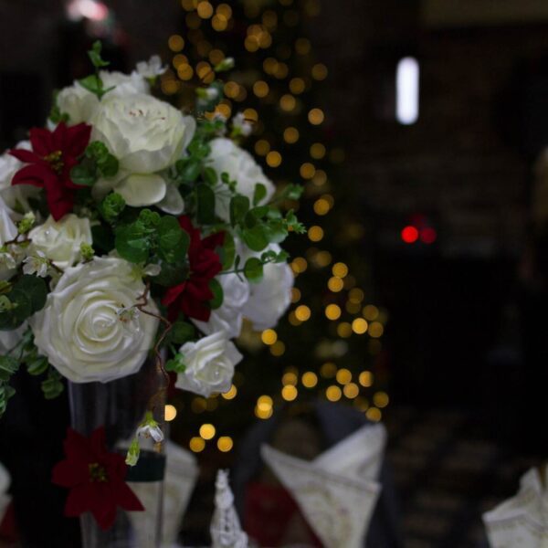 Unique Ladies business networking christmas lunch